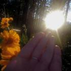 DSCN0320.JPG
