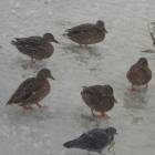 DSCN5284.JPG