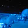DSC04485.JPG