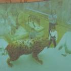 DSCN8550.JPG