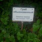DSCN1618.JPG