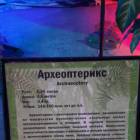 Мир динозавров. ТРЦ Италмас.63538