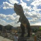 IMG-20160706-WA0035