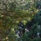 DSCN1590.JPG