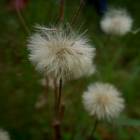 DSCN0624.JPG
