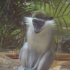 DSCN9970.JPG
