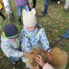 IMG_2328.JPG