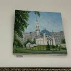 IMG_4466.JPG