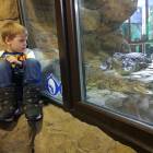 IMG_20171112_192143