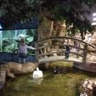 IMG_20171112_192350