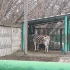 DSCN4968.JPG