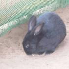 DSCN4893.JPG