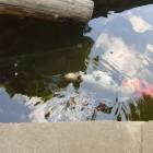 20180621_120152