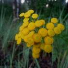 DSCN0332.JPG