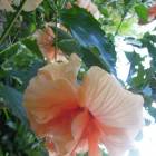 DSCN0064.JPG