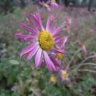 DSCN5034.JPG