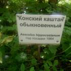 DSCN1622.JPG
