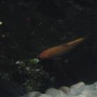 DSCN4800.JPG