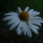 DSCN0206.JPG