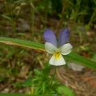 DSCN0632.JPG