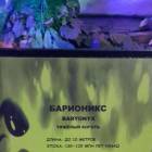 Мир динозавров. ТРЦ Италмас.63565