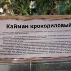 КК№46.Парк тропических бабочек.62340