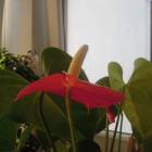 DSCN0562.JPG