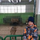 IMG-20180218-WA0100