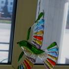 DSCN0539.JPG