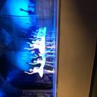 IMG_1174.JPG