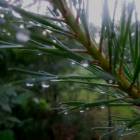 DSCN0366.JPG