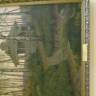 DSC04306.JPG