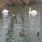 DSCN4923.JPG