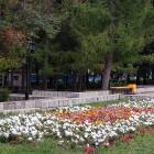 Мой любимый Лениногорск!!!117110