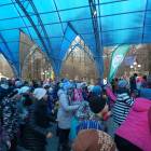 дружно на зеленый фитнес90268