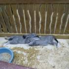 IMG_20171102_160625