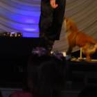 DSC08741.JPG