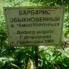 DSCN1614.JPG