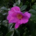 DSCN0357.JPG
