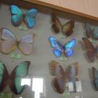 DSCN0433.JPG