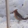 DSC04476.JPG