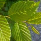 DSCN1619.JPG