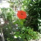 DSCN0543.JPG