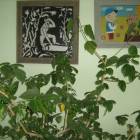 IMG_2537.JPG