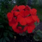 DSCN0201.JPG