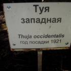 DSCN1603.JPG
