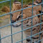 DSC_0761.JPG