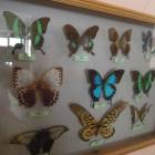 DSCN0428.JPG