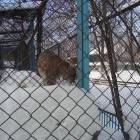 Мои мероприятия!!112742
