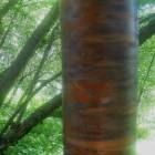 DSCN1629.JPG